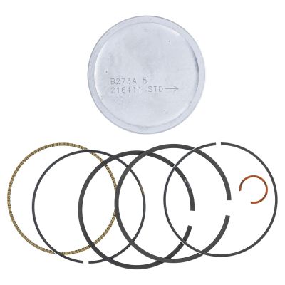 Replacement for fits BS-791786 Piston Assembly RT F8 Engine CS3310 75 526 15T202 0915 0009
