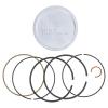Replacement for fits BS-791786 Piston Assembly RT F8 Engine CS3310 75 526 15T202 0915 0009 view 1