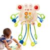 Fidget Toy,  Cute Early Education Fun, Sensory toysLightweight, Crab Design Promotes Exploration Flexibility | Sensory Toys, Lightweight toysWith Crab Design Fo view 1