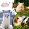 Hamster Clothes - Gerbil Dress Up Outfits - Gerbil Cosplay Clothes,for Pet Parents Animal Lovers Shelters Shops Photography Birthday Party Halloween Christmas Social Gathering view 4