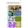 2000X Digital Biological Microscope with Dual Lenses, 7" IPS Display, 11 LEDs, 1080P Video, for Kids and Adults, Compatible with Multiple Operating Systems view 3