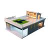 1:64 Scale Model Car Display Case for Adults, Premium Indoor Design Diecast Parking Scene with LED Lighting, Toy Car Garage Diorama with Multiple Parking Spaces for Collectible Cars (Sunroom) view 1