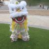 14 Inch Lifelike Lion Dance Mascot Costume for Kids 5-12 Traditional Chinese New Year Decoration & Carnival Festival Wear view 3