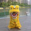 14 Inch Lifelike Lion Dance Mascot Costume for Kids 5-12 Traditional Chinese New Year Decoration & Carnival Festival Wear view 4