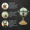 Brass Armillary Sphere Globe with Celestial Engravings and Floral Base  Rotating Decorative Astronomical Piece. view 4