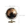 BETOOKY World Globe With Stand: Rotating Earth Globe Stable Base With Printed Map - Classroom Geography Learning Tool For Office And Desk Decor view 2