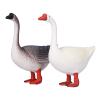TOPINCN Goose Animal Ornaments, Lifelike Hand Painted Farm Animal Toys Statues for Kids, with Safe PVC Material, for Educational Gifts and Room Decor (Gray Goose + White Goose 2 Pieces per Pack) view 1