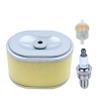 Fit For GX160 GX200 GX140 GX100 GX110 GX120 Engine With Spark Plug Replace 16100-ZH8-W51 16100-ZH8-W61 view 2
