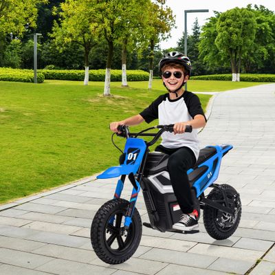 Elementool 24V Electric Dirt Bike for Teens - 12'' Fat Tire Motorcycle with 350W Brushless Motor, Hydraulic Brakes & Spring Suspension, 130lbs Max Load, Off-Road Mountain Bike for Boys Girls