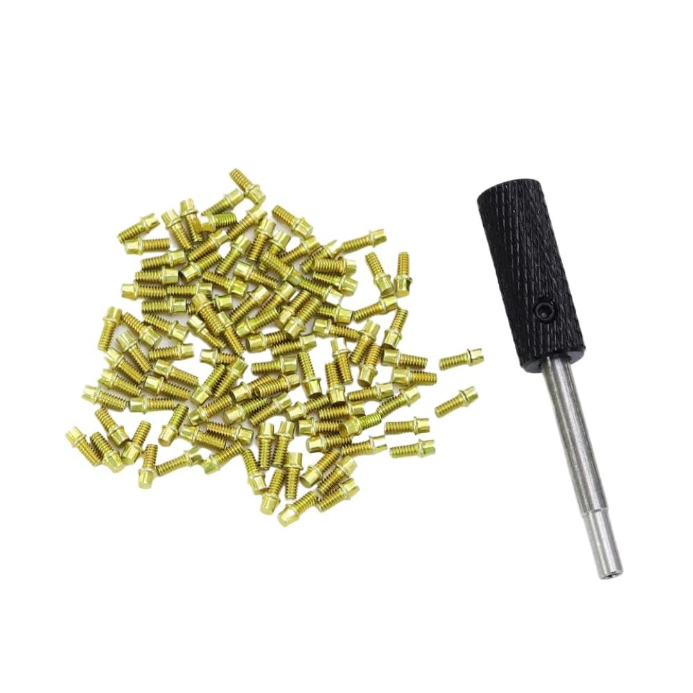 100pcs M2 Steel Scale Beadlock Ring Screws 1.9 Wheel Rims with Wrench Tool Compatible with 1 10 Scale RC Car Models AXI03007(100Pcs M2x4 Gold)