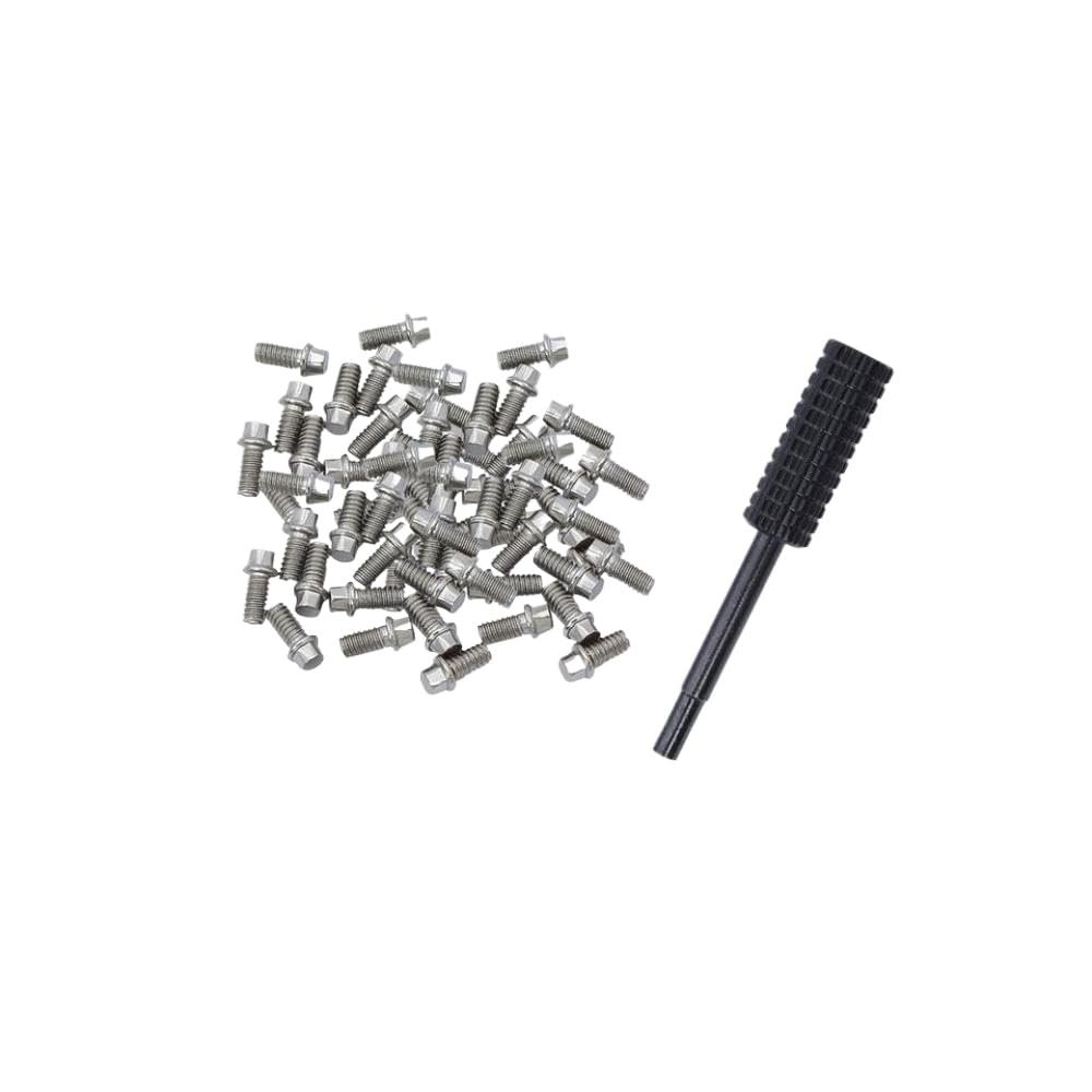 100pcs M2 Steel Scale Beadlock Ring Screws 1.9 Wheel Rims with Wrench Tool Compatible with 1 10 Scale RC Car Models AXI03007(100Pcs M2x4 Silver)