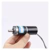12V 24V 28mm Brushless DC Planetary Gear Motor PWM Adjustable Speed Can CW CCW Micro Motor 28GP-2838(1200RPM_24V ONLY Motor) view 4