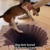 3D Rugs Optical Illusion, Rugs That Look Like a Hole, Christmas 3D Bottomless Hole Carpet Optical Illusion Area Mat, Non-Slip Easy Clean All-Weather Doormat for Entrance Test & Play(G-,31.5 * 47.2in) view 4