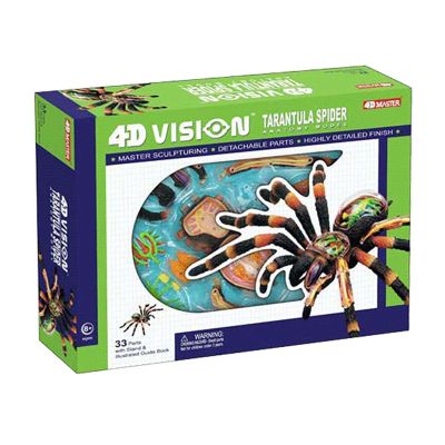 4D Vision Spider Anatomy ModelsRemovable 33 Parts Organs and Body Parts Medical Teaching Modelfor Study Diaplay Teaching,Animal Anatomical Model