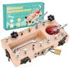 WoodTrove Montessori Screwdriver Board Set with Lock and Key, Montessori Toys for 3 4 5 Year Old, Wooden Screw Driver Activities Tools, Fine Motor Skills Preschool Learning Sensory Toy view 1
