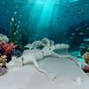 3D Printed Sea Monster Toy, Trevor Henderson Mythical Ocean Predator Model, Creative and Novel Toys (C) view 4