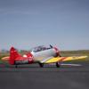 E-flite SNJ-5/AT-6 Texan 1.5m BNF Basic EFL08750 RC Warbird Airplanes view 4