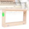 LAISANIM Bee Breeding Observation Box, Ventilated Wooden Beehive Frames, 2 Sided Transparent Acrylic Panels, 21.7x12.4x4.8in view 3