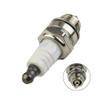 Spark Plug Ignition System Fit For RJ19LM BR2LM GL2RC Garden Power Equipment view 2