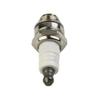 Spark Plug Ignition System Fit For RJ19LM BR2LM GL2RC Garden Power Equipment view 4