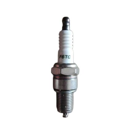 F6TC 798615 Compatible With BS ENGINE 25T232 XR2100 And Similar Models 25T232