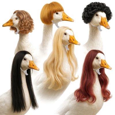 6 Pcs Goose Costume Caps for Garden, Colorful Yard Decor, Fun Goose Head Designs