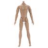 1/6 Scale Action Figure Multi Jointed Movable Male Muscular Action Figure Body for Display Doll Collection Medium 1/6 Scale .- view 1