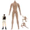 1/6 Scale Action Figure Multi Jointed Movable Male Muscular Action Figure Body for Display Doll Collection Medium 1/6 Scale .- view 2