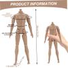 1/6 Scale Action Figure Multi Jointed Movable Male Muscular Action Figure Body for Display Doll Collection Medium 1/6 Scale .- view 3