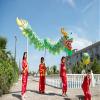 4m Dragon Dance Costume Propsfor 4 Players Chinese New Year Dragon Dance Performance for Outdoor Sports Activities view 2