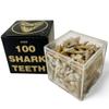100 Real Fossilized Shark Teeth  Authentic Prehistoric Fossils with Acrylic Display Box  STEM Geology & Science Kit for Kids and Collectors  Fossil King view 1