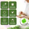 ANH3KT Real Four Leaf Clover Resin Charm with Light-Reflecting Good Luck Gifts Pocket Token, Preserved, 1.25 Gift for Good Fortune, Lucky Charm Clover for Family view 4