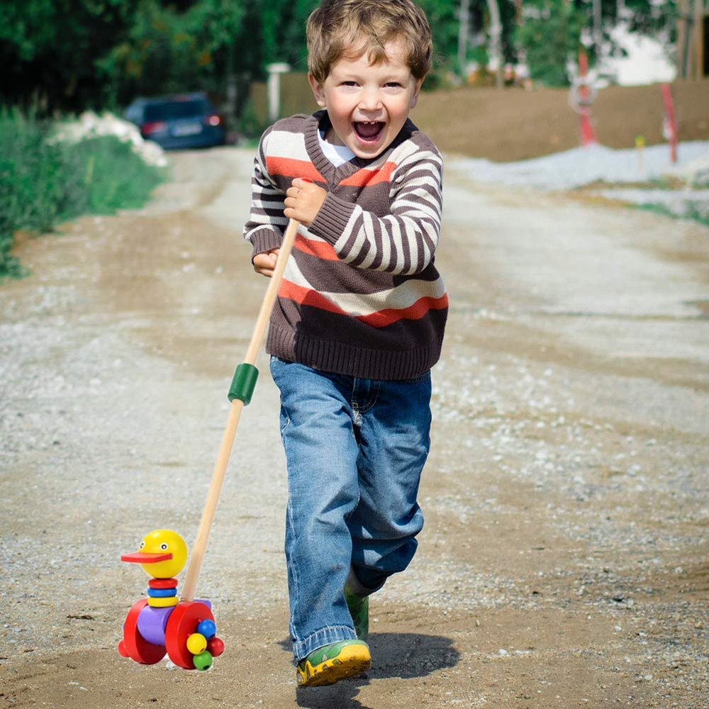 ASHATA Wooden Baby Walker Educational Push and Pull Toy for Toddlers Learning Walking, Animal Waddling Toy for Kids, 1X Small Wooden Walking for Baby (Colorful)