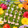 6 Pairs Clip On Earrings Non-Pierced for Dress Up Princess Non-Pierced Rainbow Cute Animal Colorful Party Favor view 3