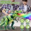 Fire Breathing Dragon Toy, Fire Breathing Dinosaur Toy, Electric Walking Remote Control Dinosaur Toys, 7 Color LED Firebreath Spray, Realistic Roaring Sounds, Christmas Birthday Gifts for Kids (2pcs) view 2