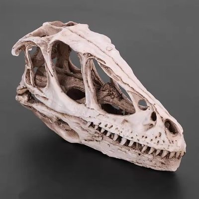 EFFNILIM Desktop Decor Dinosaur Skull Model Resin Dinosaur Skull Model Simulated Animal Skeleton Home Decor Craft Teaching Prop