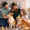 10PCS Birthday Hats for Stuffed Animals Cute Mini Party Hats Tiny Birthday Paper Cone for Stuffed Animals Pets Baby, Accessories view 4