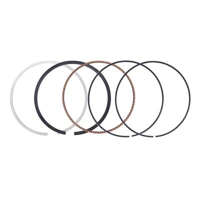Performance Piston Rings STD 89mm Fit For 390, e, and RC Models (2015-2023)