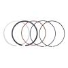 Performance Piston Rings STD 89mm Fit For 390, e, and RC Models (2015-2023) view 1