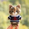 10 cm, 17 cm, 38 cm, Trendy Dolls Change Clothes, Casual and Cute Suits | Multi-Scene Matching (Red Arrow Black Sweater) view 1
