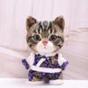 10 cm, 17 cm, 38 cm, Trendy Dolls Change Clothes, Casual and Cute Suits | Multi-Scene Matching (Pink loli Dress Set) view 2