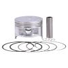 65.5mm Piston and Ring Kit Compatible with Various Small Engines and Power view 1