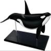 4D Whale Organ Anatomy Model, Whale Anatomical Model, Detachable 16 Parts, Animal Anatomical Organ Medical Teaching Model for Demonstration Science Study. view 2