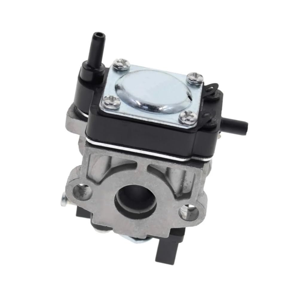 308480001 Carburetor Fit For WYC-7-1 WYC-6 Carburador
