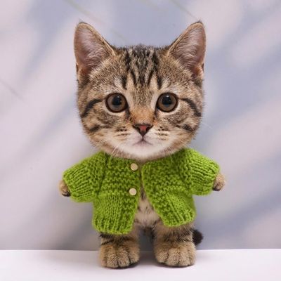 10 cm, 17 cm, 38 cm, Trendy Dolls Change Clothes, Casual and Cute Suits (Green Wool Cardigan Type B (10cm))