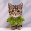 10 cm, 17 cm, 38 cm, Trendy Dolls Change Clothes, Casual and Cute Suits (Green Wool Cardigan Type B (10cm)) view 1