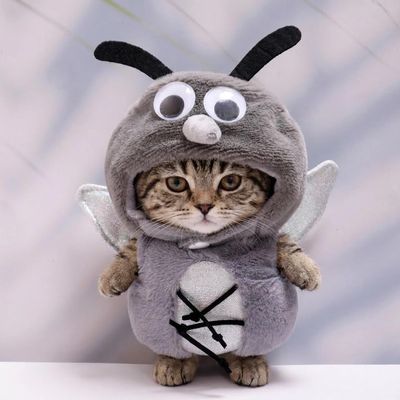 10 cm, 17 cm, 38 cm, Trendy Dolls Change Clothes, Casual and Cute Suits (Mosquito Clothes)