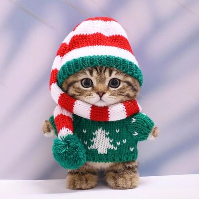 10 cm, 17 cm, 38 cm, Trendy Dolls Change Clothes, Casual and Cute Suits (Green Christmas Tree Sweater Set)