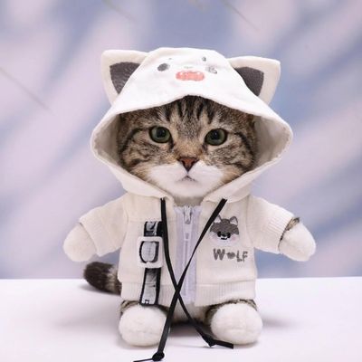 10 cm, 17 cm, 38 cm, Trendy Dolls Change Clothes, Casual and Cute Suits (Little Wolf Hoodie Set)