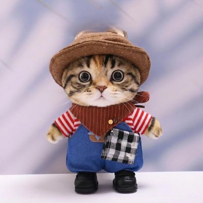 10 cm, 17 cm, 38 cm, Trendy Dolls Change Clothes, Casual and Cute Suits (Western Denim Suit)